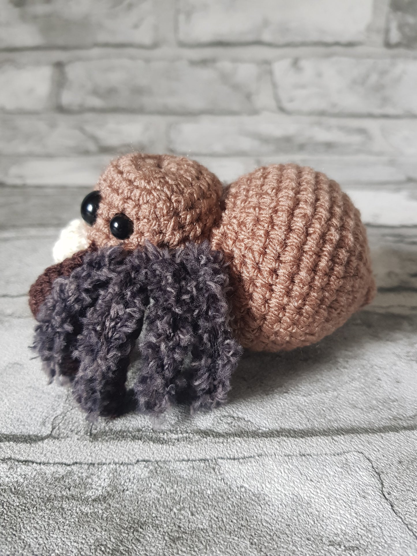 Spider - Brown