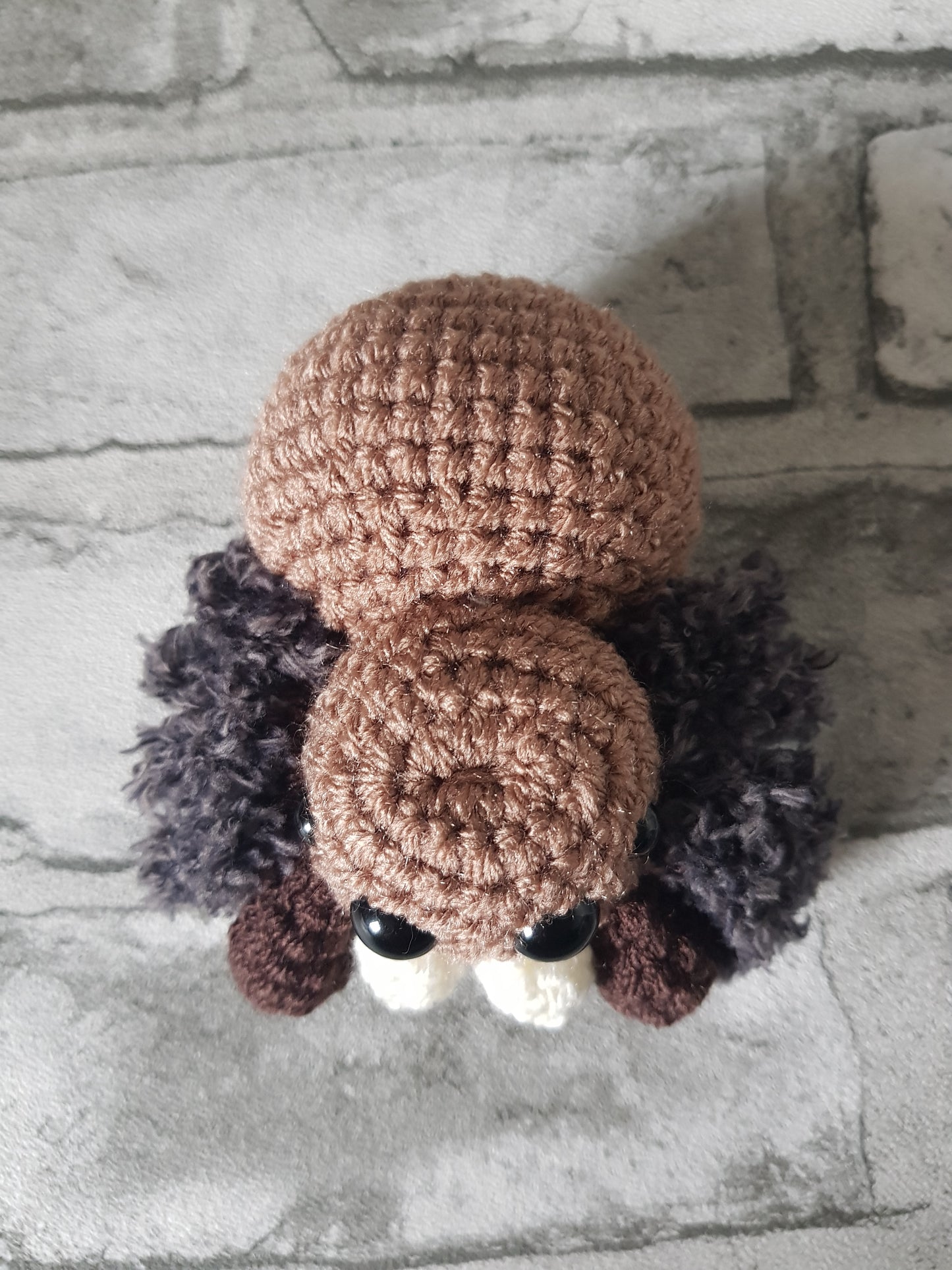 Spider - Brown
