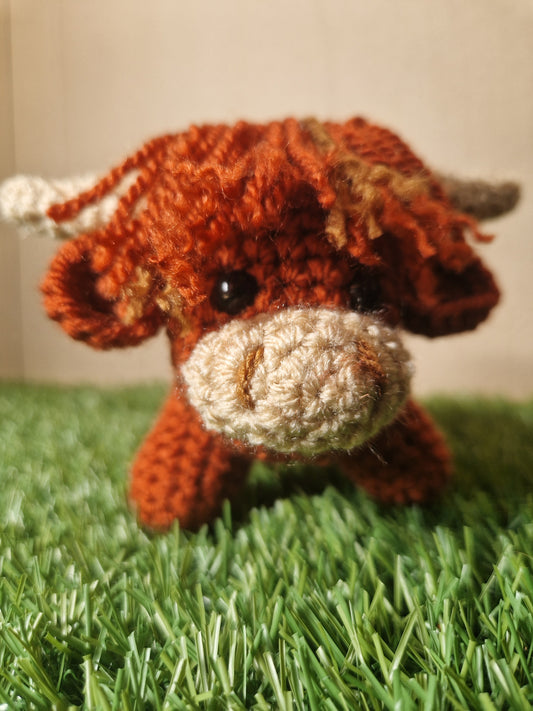 Hamish the Highland Coo