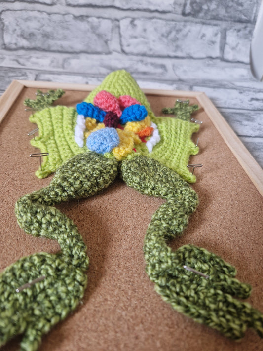 Frog Dissection Artwork