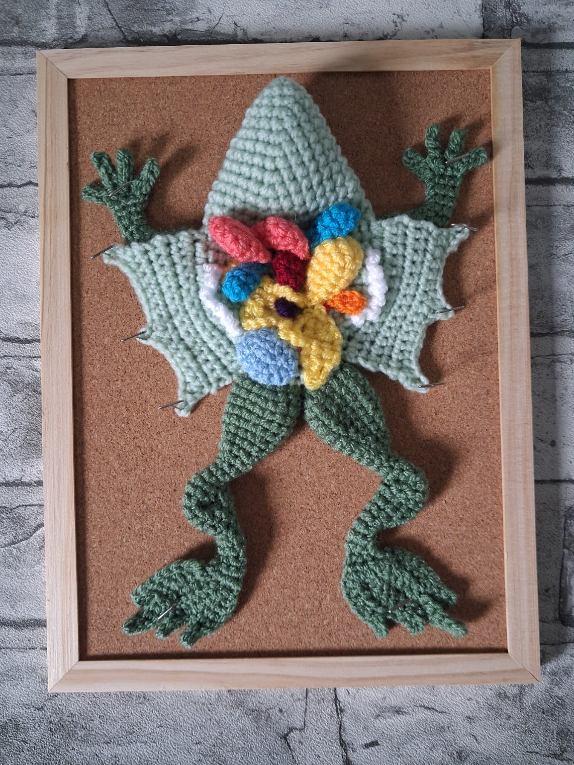 Frog Dissection Artwork