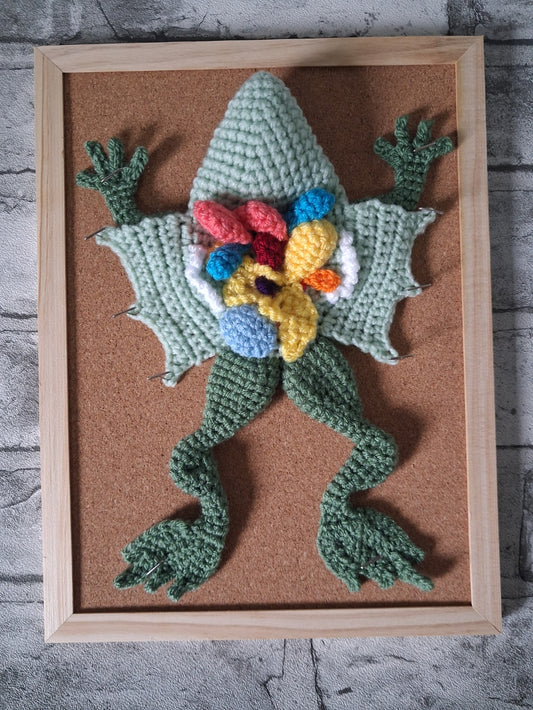 Frog Dissection Artwork